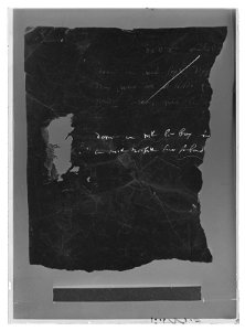 Handhästtäcke till handhäst ur Ludvig XIVs gåva till Karl XI 1673, den s.k. franska gåvan - Livrustkammaren - 53025-negative