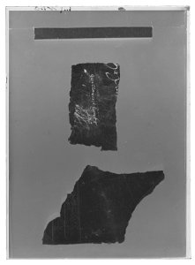 Handhästtäcke till handhäst ur Ludvig XIVs gåva till Karl XI 1673, den s.k. franska gåvan - Livrustkammaren - 44464-negative