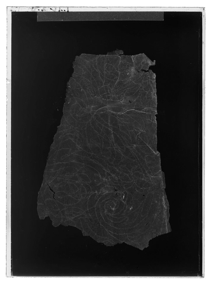 Handhästtäcke till handhäst ur Ludvig XIVs gåva till Karl XI 1673, den s.k. franska gåvan - Livrustkammaren - 18783-negative