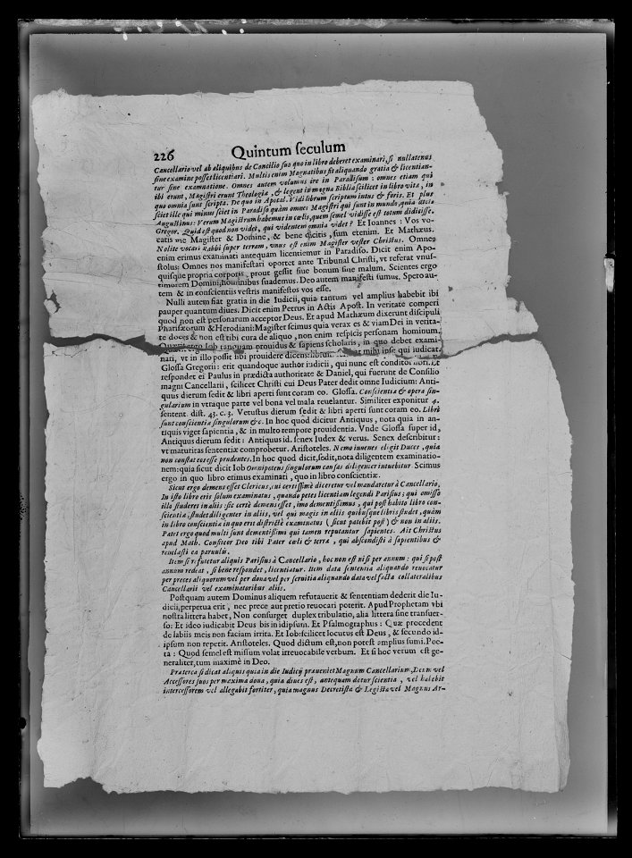 Handhästtäcke till handhäst ur Ludvig XIVs gåva till Karl XI 1673, den s.k. franska gåvan - Livrustkammaren - 70173