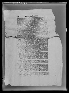 Handhästtäcke till handhäst ur Ludvig XIVs gåva till Karl XI 1673, den s.k. franska gåvan - Livrustkammaren - 70173
