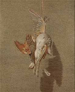 Hanging partridge - Mary Linwood. Free illustration for personal and commercial use.