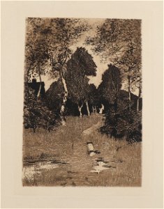 Hans am Ende Landschaft mit Birken 1897