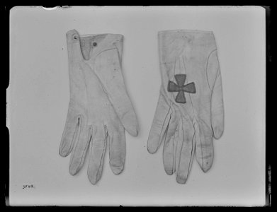 Handske, Carl XIIIs ordensdräkt - Livrustkammaren - 53621