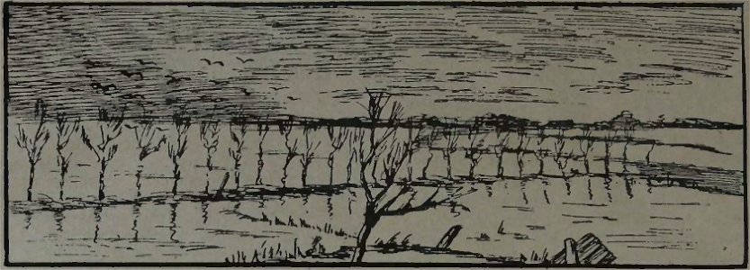 Hans - À L'Yser, 1919 (page 78 crop)