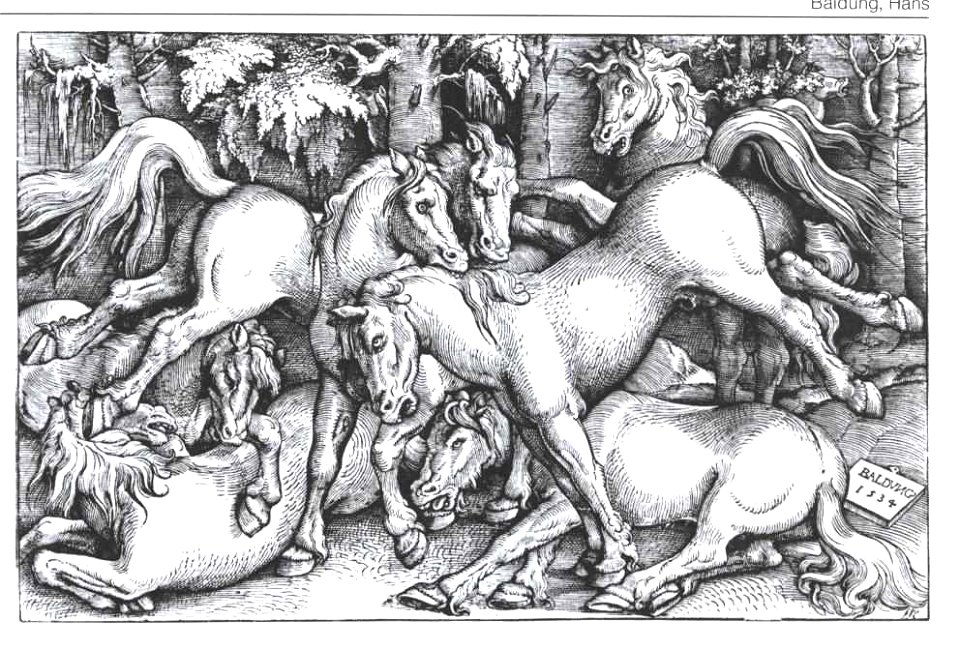 Hans Baldung Grien - Kämpfende Hengste
