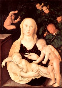 Hans Baldung - Virgin of the Vine Trellis - WGA01207