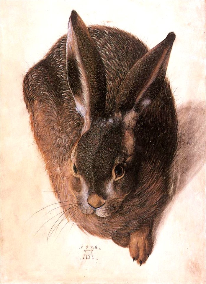 Hans Hoffmann - Hare - WGA11454