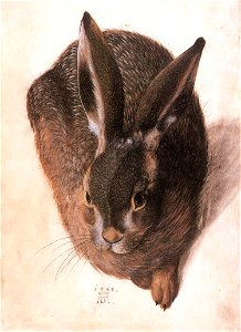Hans Hoffmann - Hare - WGA11454. Free illustration for personal and commercial use.
