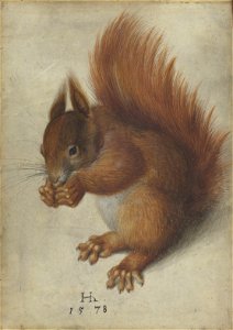 Hans Hoffmann - Squirrel - WGA11455