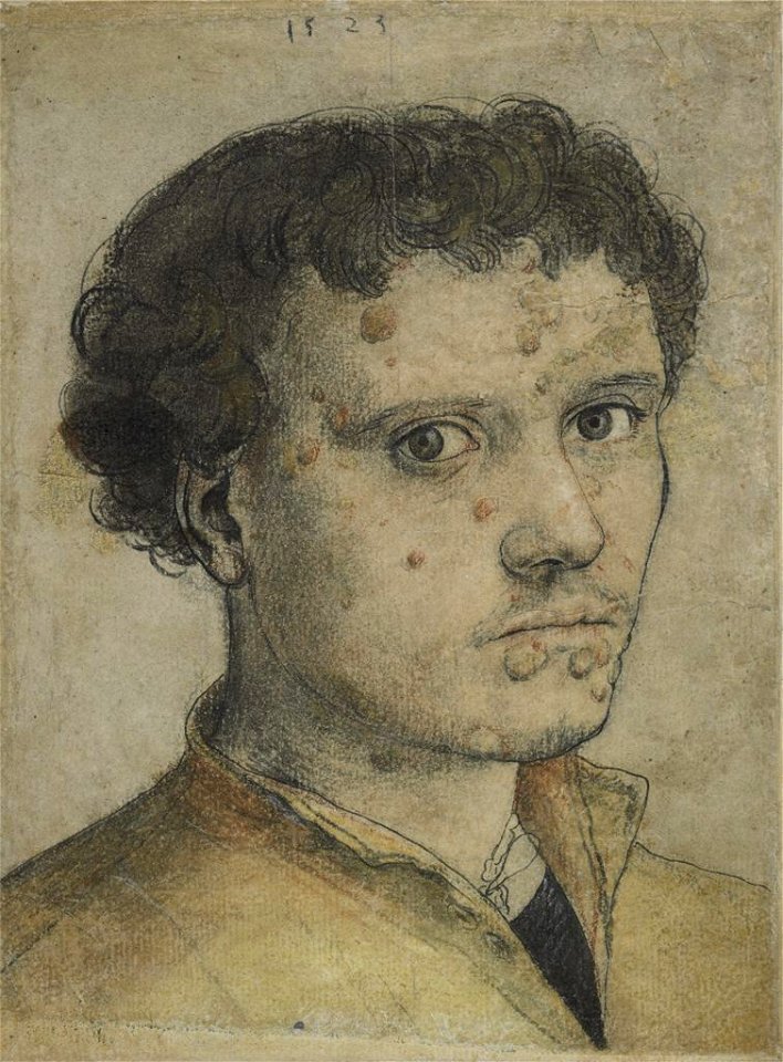 Hans Holbein the Younger - Head of a Young Man (Fogg)