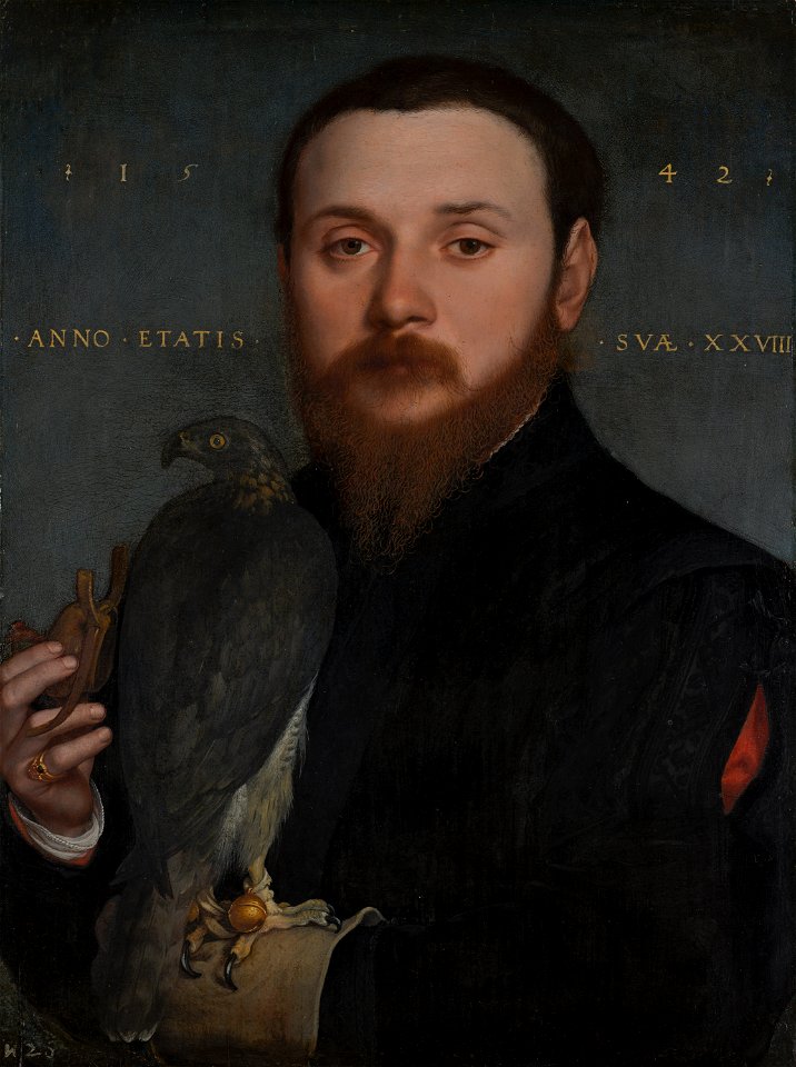Hans Holbein de Jonge - Portrait of a Nobleman with a Hawk - 277 - Mauritshuis