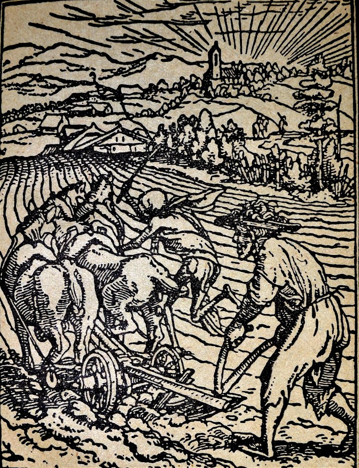 Hans Holbein, Kmet in smrt, lesorez iz knjige Rosenow, Kulturbilder aus den Religionskämpfen des 16. und 17. Jahrhunderts