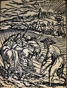Hans Holbein, Kmet in smrt, lesorez iz knjige Rosenow, Kulturbilder aus den Religionskämpfen des 16. und 17. Jahrhunderts