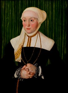 Hans Mielich - Portrait of a Lady - 39-2006 - Saint Louis Art Museum