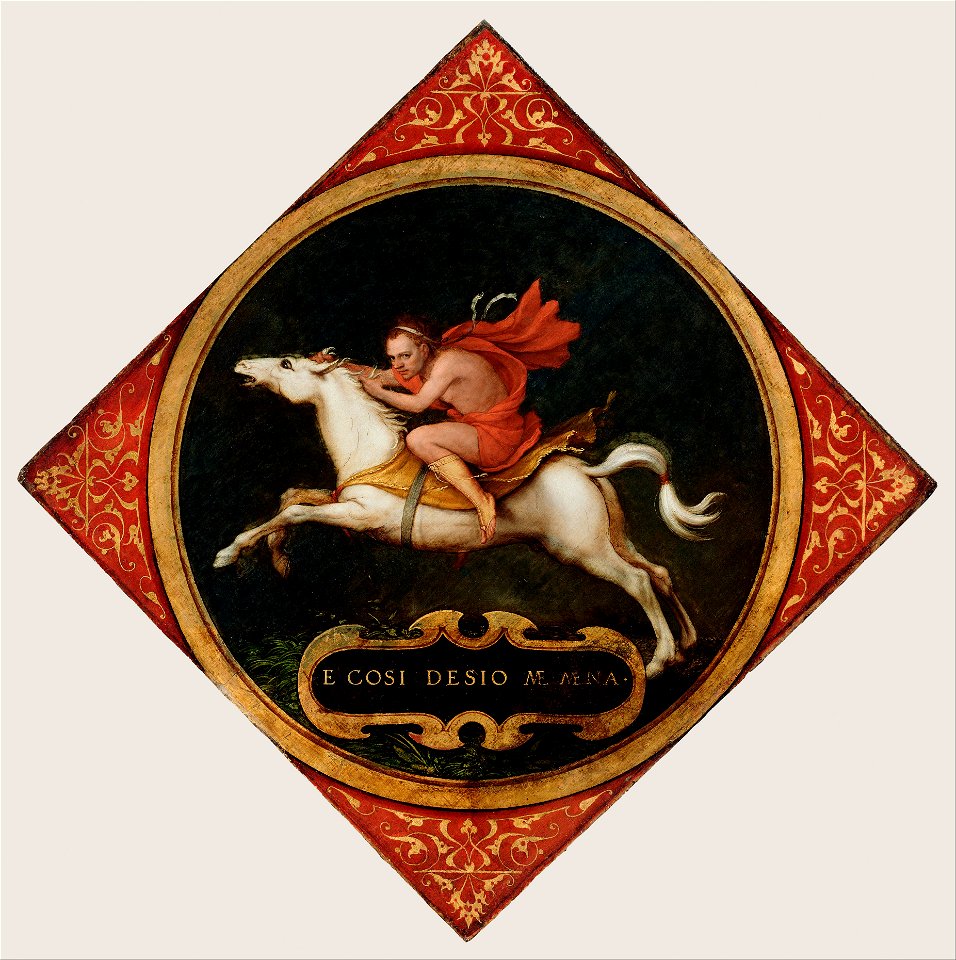 Hans Holbein the Younger (German - An Allegory of Passion - Google Art Project