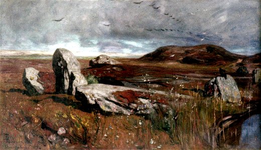 Hans Peter Feddersen - Hünengräber Sylt