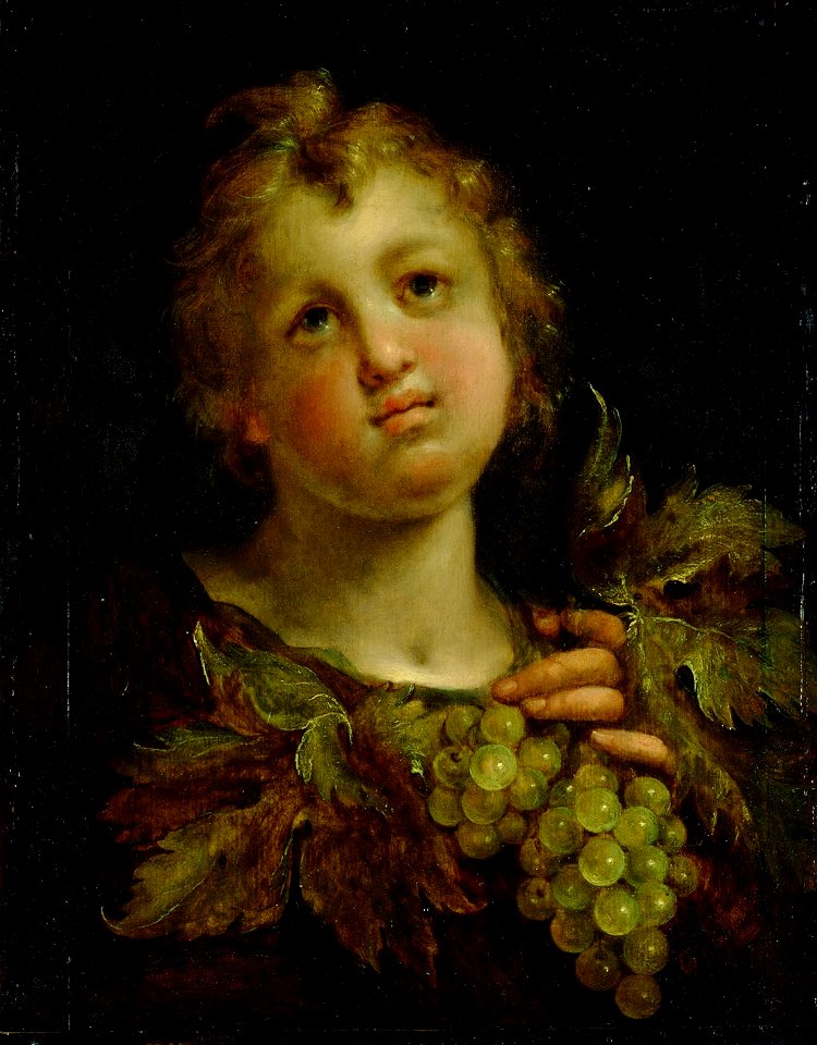 Hans von Aachen - Boy with wine grapes