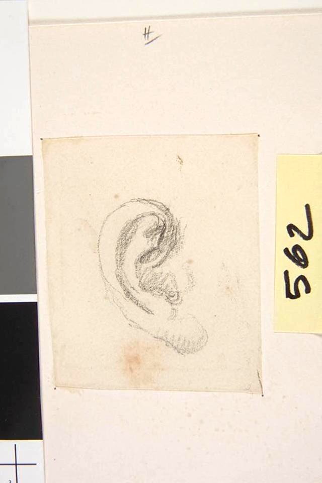 Ingres - MI.867.562, Oreille