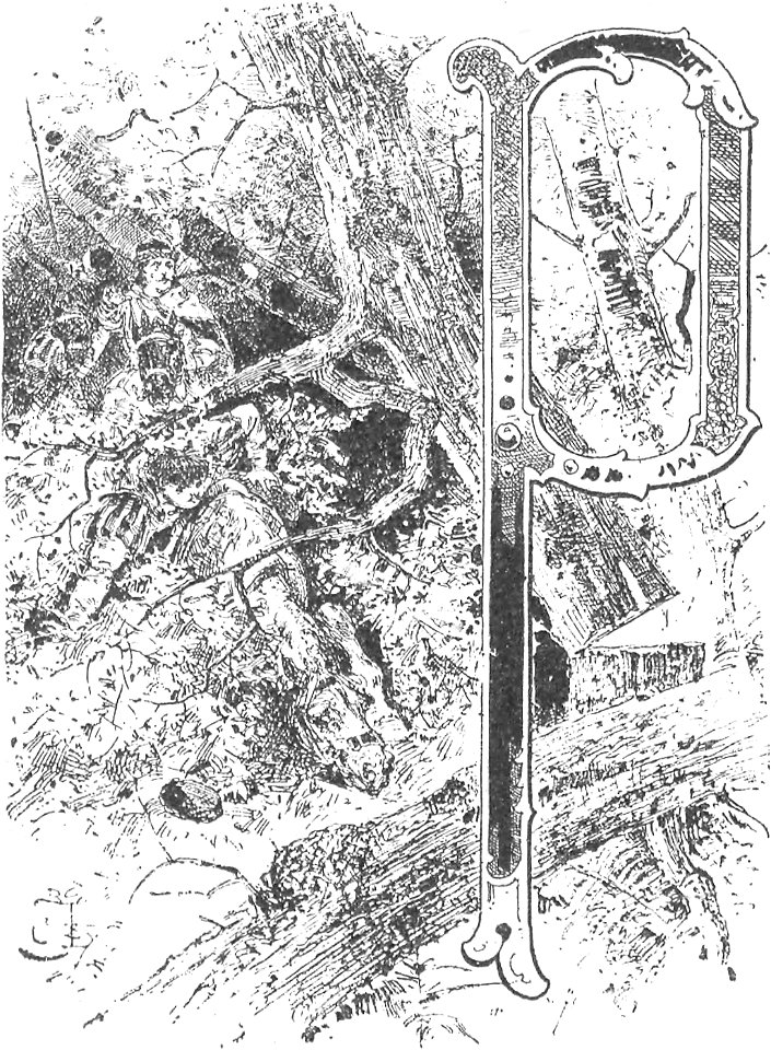 Inicjał P 6 (Wizerunki książąt i królów polskich)