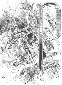 Inicjał P 6 (Wizerunki książąt i królów polskich)