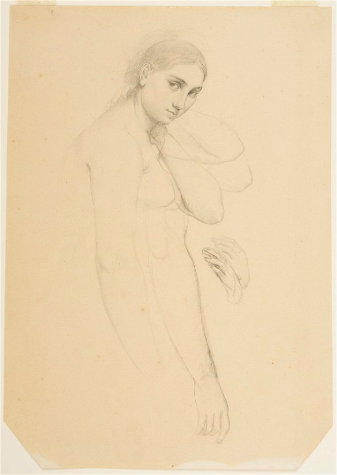 Ingres - School of - Study for Raphael and the Fornarina, 1942.66