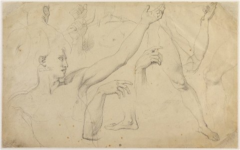 Ingres - Étude pour Romulus, dans Romulus vainqueur d'Acron, 2225-04