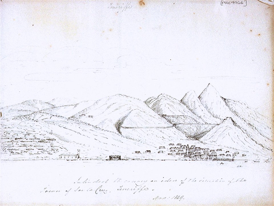 Intended to convey an idea of the situation of Town of Santa Cruz, Teneriffe RMG PV9966