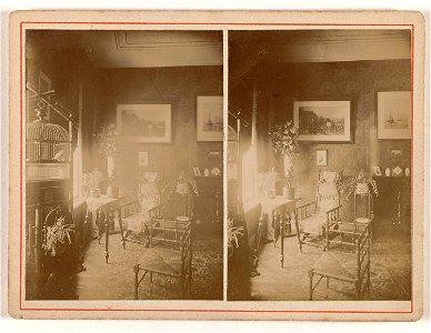 Interieur met vogelkooi