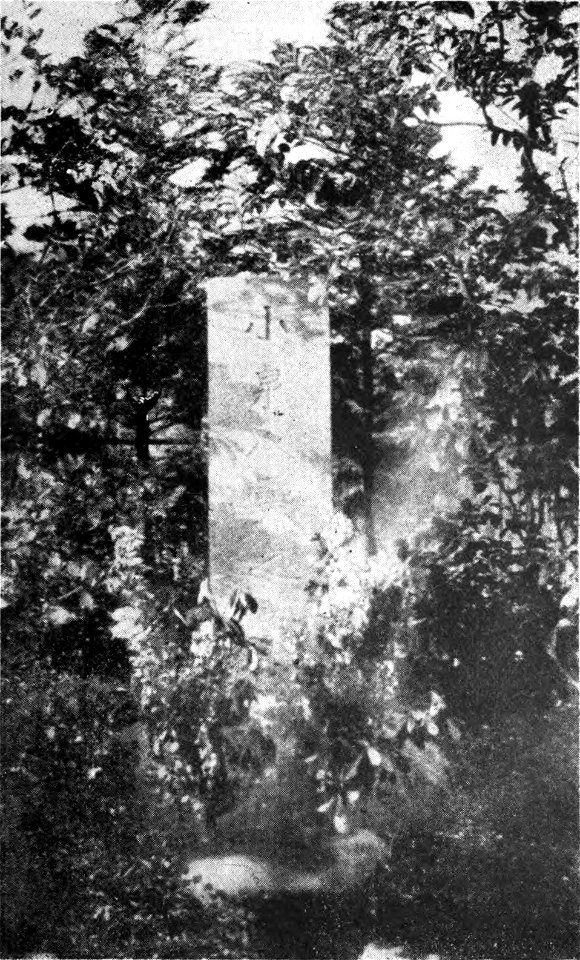 Insect Literature Plate III