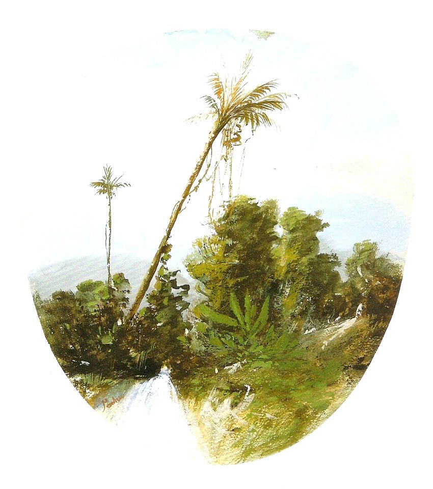 Insley Pacheco - Paisagem
