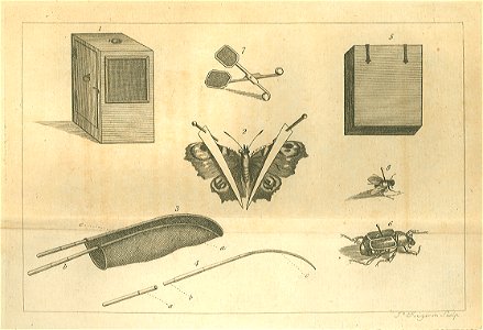 Instructions for collecting and preserving insects; Materials. Free illustration for personal and commercial use.