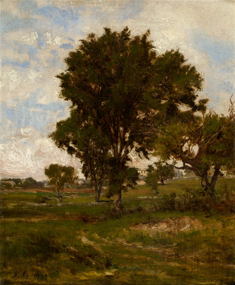 George Inness - The Elm Tree (ca.1880)