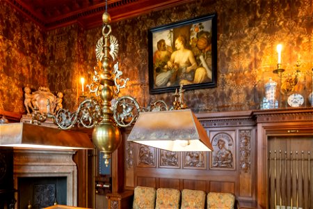 Interior of Hallwyl House -Billiard Room DSC7326