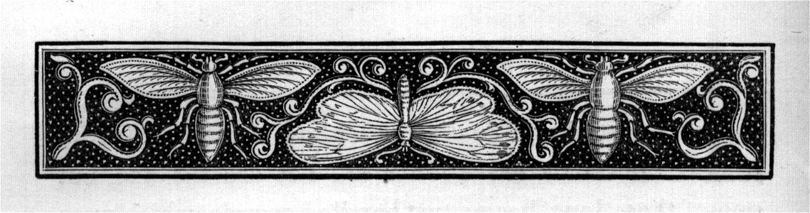 Insect border