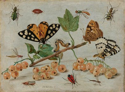 Insecten en vruchten Rijksmuseum SK-A-793. Free illustration for personal and commercial use.