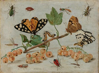 Insecten en vruchten Rijksmuseum SK-A-793