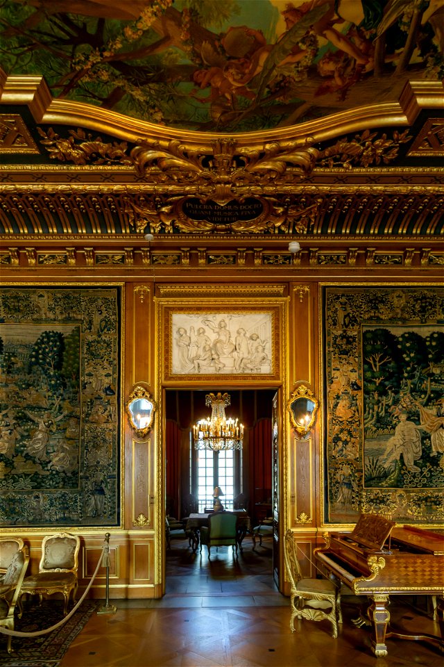 Interior of Hallwyl House - Great Deawing Room DSC7288