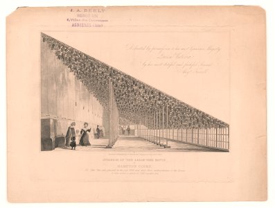 Interior of the large vine house, at Hampton Court LCCN2003691116