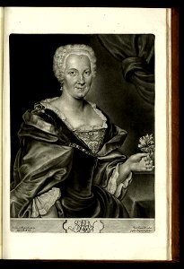 Ioannis Kupezky, incomparabilis artificis, Imagines et picturae - Valentin Daniel Preisler, Bernhard Vogel - 1745 - 64