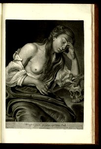 Ioannis Kupezky, incomparabilis artificis, Imagines et picturae - Valentin Daniel Preisler, Bernhard Vogel - 1745 - 61