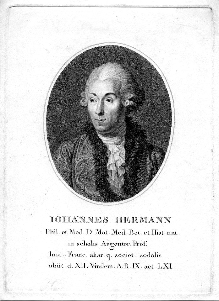 Ioannes Hermann