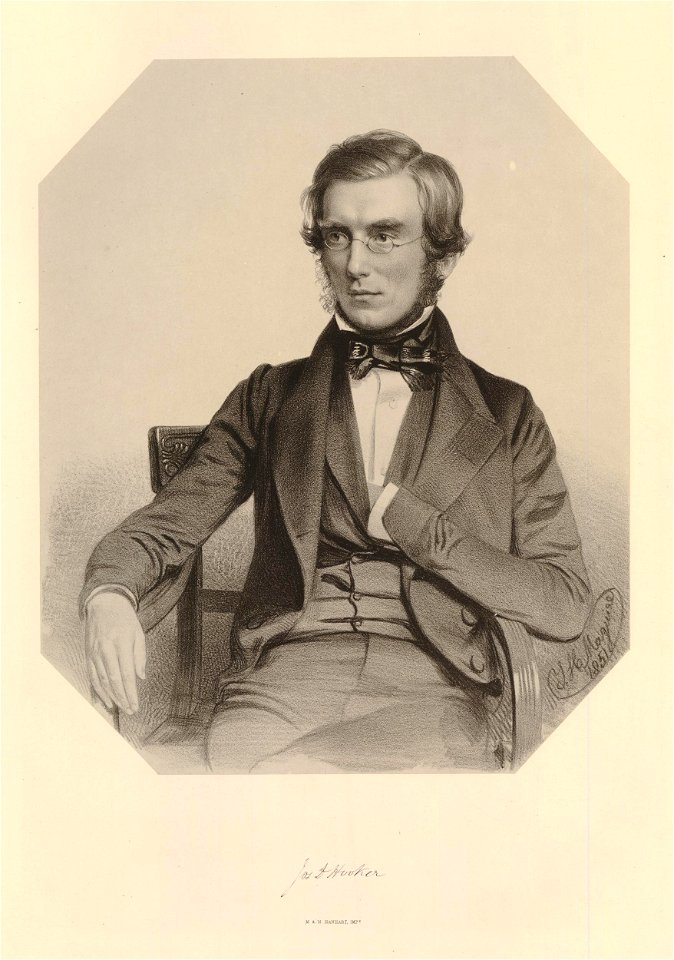 Ipswich Museum Portraits (BM 1882,0610.108)