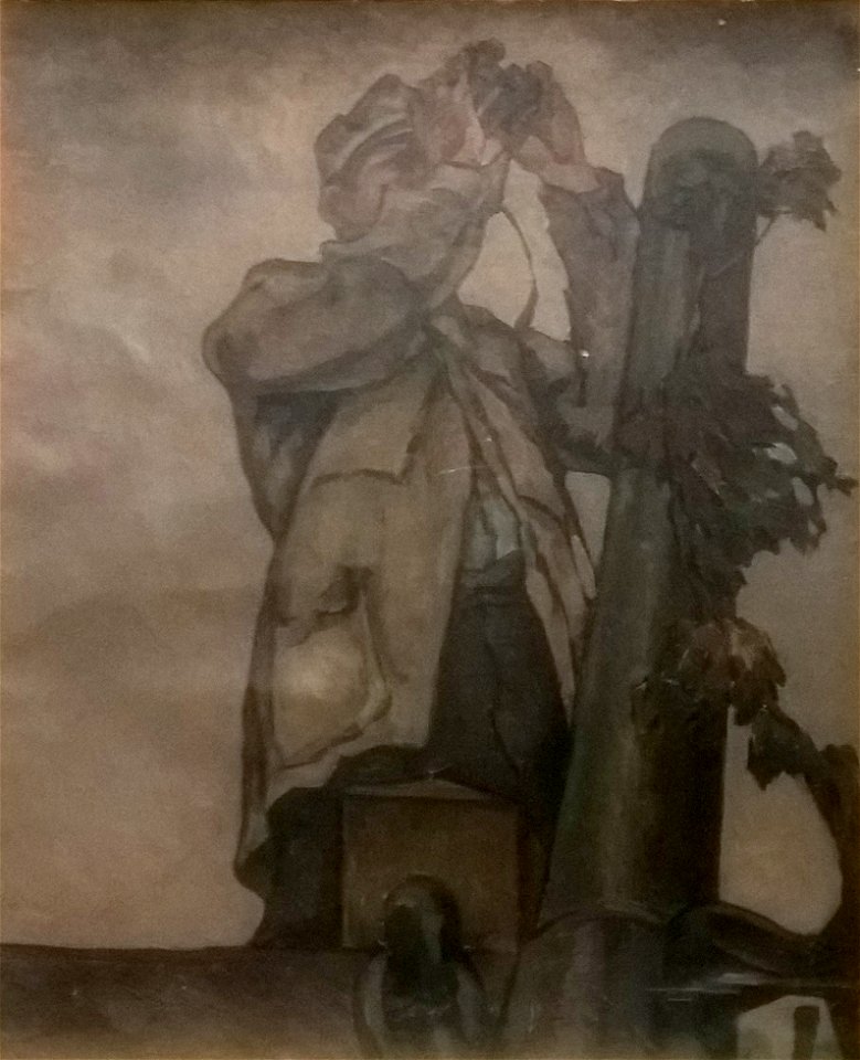Ion Theodorescu-Sion - Observator in baterie
