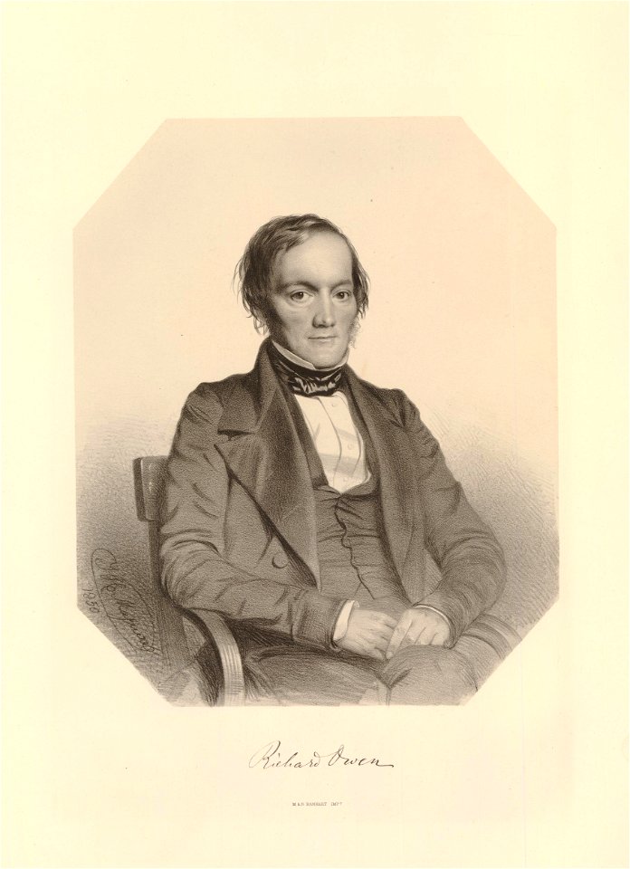 Ipswich Museum Portraits (BM 1882,0610.146)