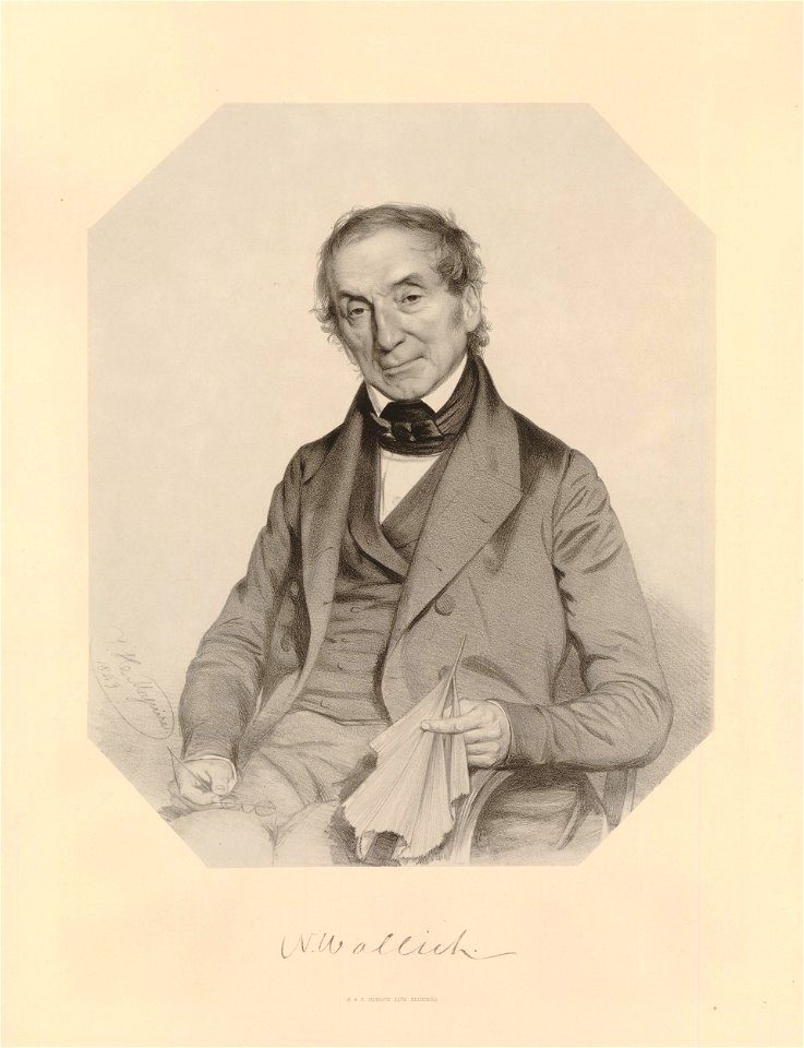 Ipswich Museum Portraits (BM 1882,0610.134)
