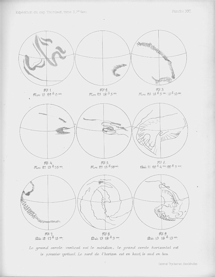 Ipy-thordsen2 plate-21