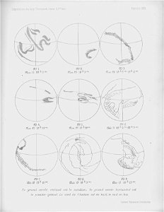 Ipy-thordsen2 plate-21