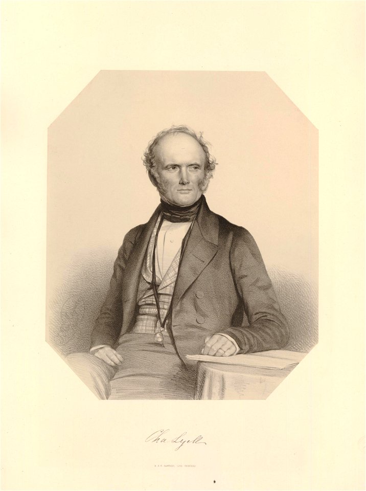 Ipswich Museum Portraits (BM 1882,0610.143)