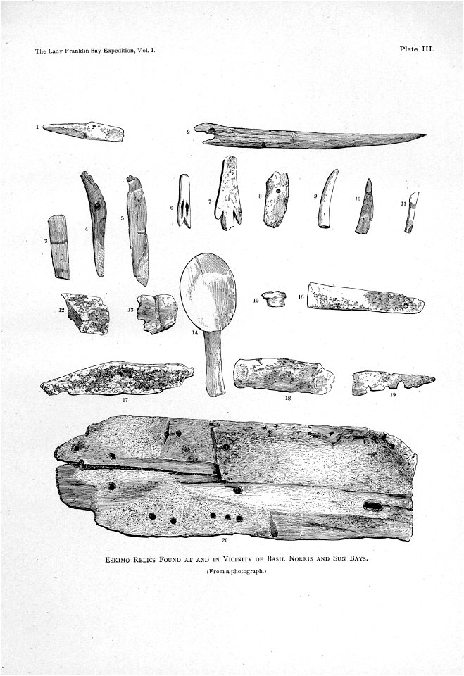 Ipy-conger1 plate-IIIb